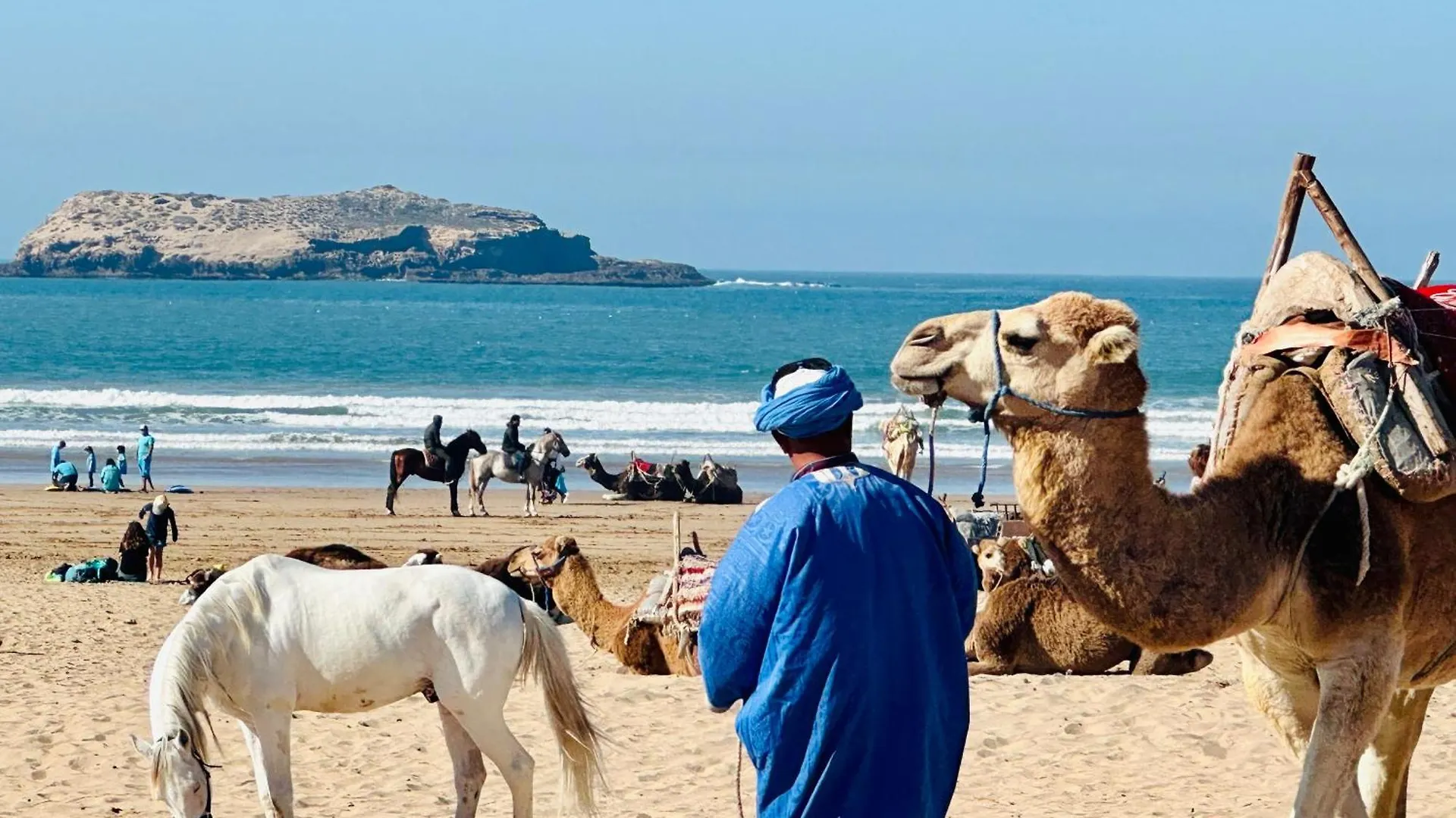 Villa Eden Garden Essaouira Morocco